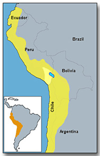 Inca Empire - Inca Trade and Commerce 500C.E.-1500C.E.